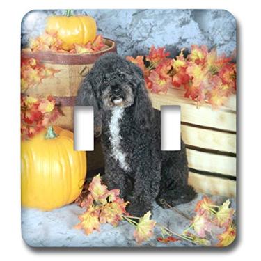Imagem de 3dRose lsp_1012_2" Toy Poodle Black Interruptor de alternância dupla