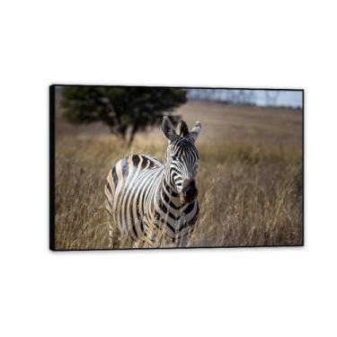 Imagem de Arte de parede em tela zebra grande, imagem natural de zebra savana africana, impressões em tela de animais selvagens africanos preto e branco moderno giclée emoldurado para decoração de sala de estar