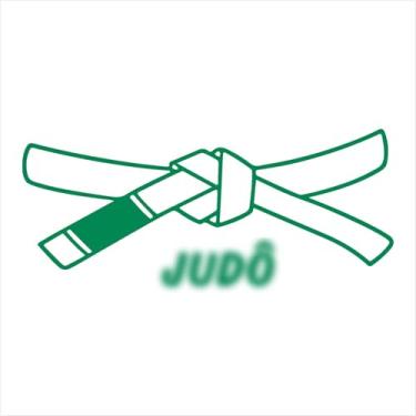 Imagem de Adesivo Faixa Judô Decorativa: Evolução, Energia, Estilo, OSS, Kimono (VERDE, 47x20 cm)