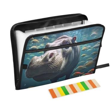 Imagem de Wassud Hipopótamo organizador de arquivos sanfonado subaquático com 13 bolsos, pastas expansíveis com abas e adesivos, organizador de pastas de documentos de recibo de papel tamanho carta A4 para