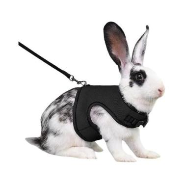 Imagem de Coleira Ajustável E Respirável Para Animais De Estimação Com Guia Para