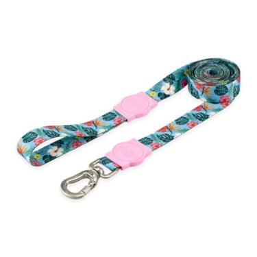 Imagem de Mood Pet Coleira Guia 2 Metros Para Cães Cachorro Adestramento Passeio Porte Grande Médio Pequeno (Sunny Rose, PP)