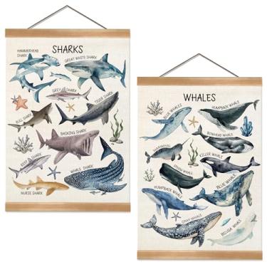 Imagem de ZTGDA Moldura de cabide de pôster de criaturas marinhas, decoração de parede engraçada de concha do mar, presentes para amantes do oceano, arte de parede de estrela do mar para decoração de quarto e