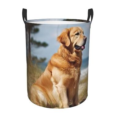 Imagem de Golden Retriever Cesto de lavanderia dobrável à prova d'água cesto de armazenamento de roupas com alças pano oxford organizador de brinquedos cesta para banheiro, lavanderia, quarto, pequeno