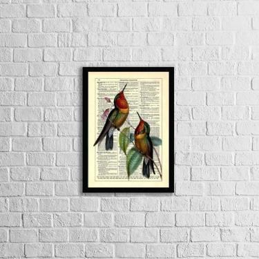 Imagem de Quadro Decorativo Beija Flores Vintage 45X34Cm Moldura Preta