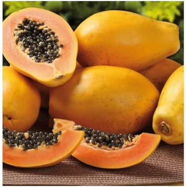 Imagem de Sementes Mamão Papaya Orgânico, Fruta Tropical Rica em Vitaminas, Polpa Alaranjada com Sementes Pretas