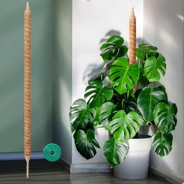 Imagem de Vanut Mastro de musgo dobrável e resistente, suporte de planta Monstera, varas de musgo de 122 cm para escalada de plantas de interior, mastro de coco ajustável para pothos, filodendro, cacto espinha