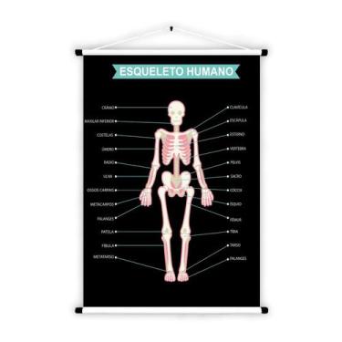 Imagem de Banner de Lona Educativo Esqueleto Humano 70x55 cm - UdiPrint