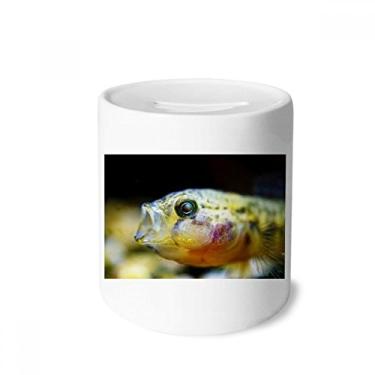 Imagem de DIYthinker Porta-moedas de cerâmica pequena de peixe tropical, caixa de dinheiro com caixa de cerâmica para presente de cofrinho