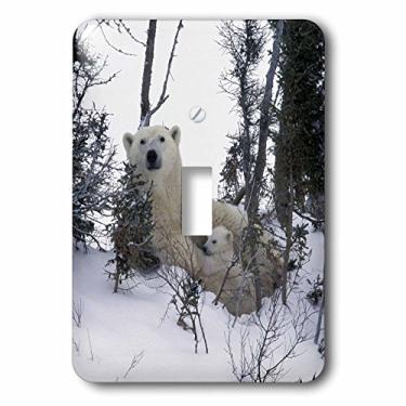 Imagem de 3dRose Lsp_70153_1 Manitoba, Churchill. Interruptor de botão único para filhotes de urso polar