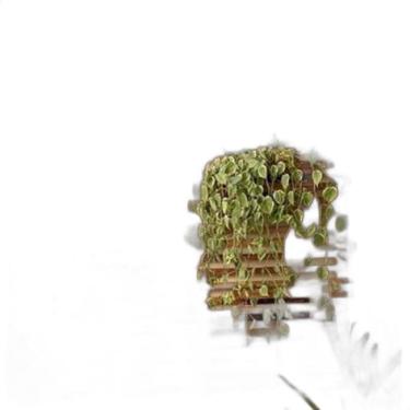 Imagem de Kit Jardim Vertical 60 X 30 Com 2 Cachepots 18X20 / 12 X12