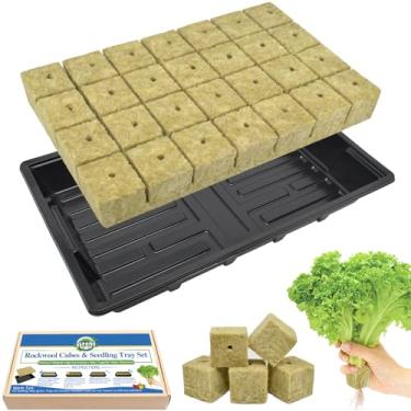 Imagem de Halatool Kit inicial de sementes - 28 peças de cubos de lã de rocha de 3,8 cm e 1 pacote de bandeja reutilizável para iniciação de sementes, kit de geminação interna para clone de plantas de