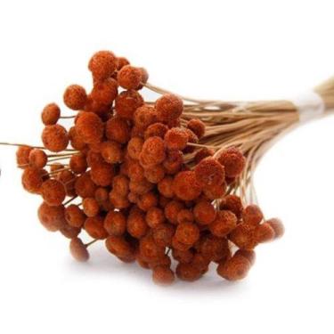 Imagem de 400 Botão Desidratado Laranja - Pense Flores