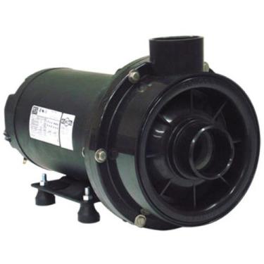 Imagem de Bomba para hidromassagem dancor chs-22 3cv bivolt 110/220v