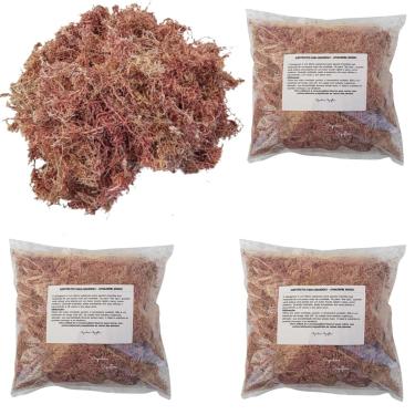Imagem de Kit 3 Musgos Sphagnum 5 Litros Substrato P/Plantas Orquídea