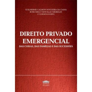 Imagem de Direito privado emergencial das coisas: das famili - PROCESSO (CATALIV