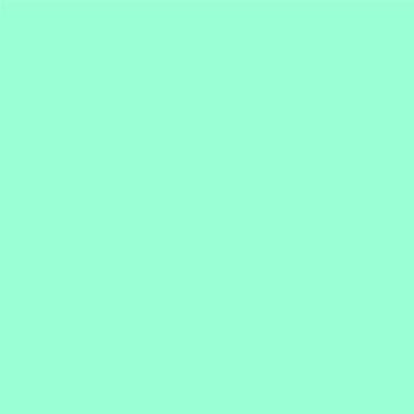 Imagem de Filme Nano Transfer 50x20 cm, Menta
