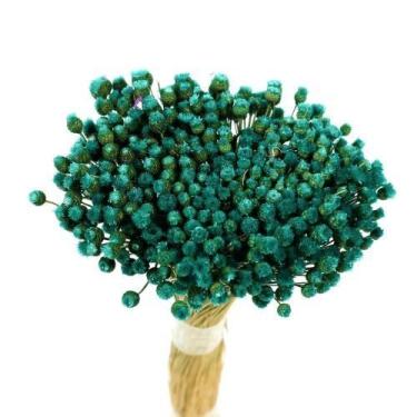 Imagem de Planta Seca Botão Jazida Desidratado Verde - Pense Flores