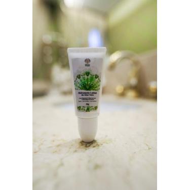 Imagem de Hidratante Labial de Aloe Vera - ERVAS DE GAYA