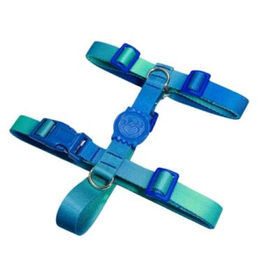 Imagem de Coleira Peitoral H Anti Puxão e Guia 1,10m para Cachorro Varias Estampas(Verde e Azul,G)