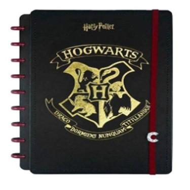 Imagem de Caderno inteligente 172x231mm 1x1 80fls 01pt harry potter fsc jandaia 