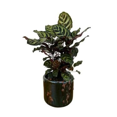 Imagem de Vaso Cachepot de Mesa 20cm Redondo de Cerâmica Texturizada - Verde Gar