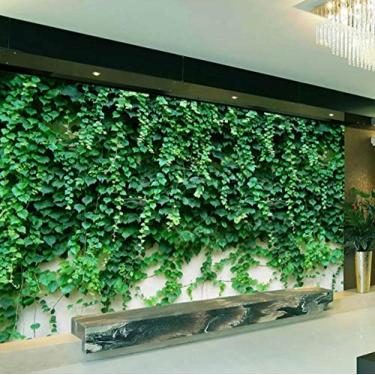 Imagem de Conjunto 6 Pratos Raso Spring Scalla Ceramica