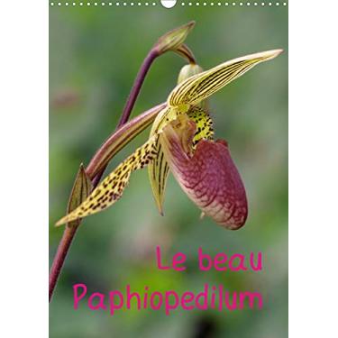 Imagem de Le beau Paphiopedilum (Calendrier mural 2021 DIN A3 vertical): Portraits floraux de ce merveilleux type d'orchidées (Organiseur, 14 Pages)