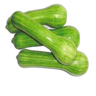 Imagem de Semente Hortaliça/Verdura/Especiaria monte seu kit personalizado - Alp