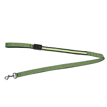 Imagem de Zhjvihx Calendário Magnético Apagável um Seco, Placa de Planjamento Transparente Reutilizável Transparente Caligrafia Clara 13 X 9,1 pol. Para Geladeira Doméstica (Verde)