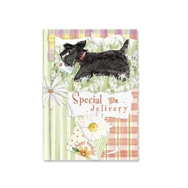 Imagem de Carol's Rose Garden/For Arts Sake Schnauser Entrega especial - Aniversário