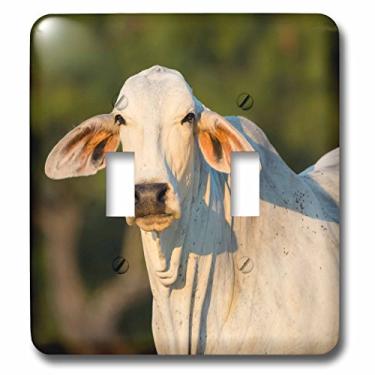 Imagem de 3dRose Lsp_279455_2 Brahma Cow Switch