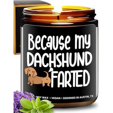 Imagem de Vela Dachshund engraçada