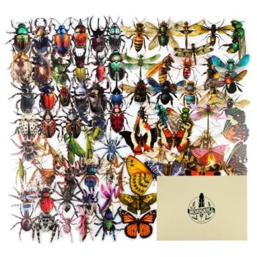 Imagem de Moriquill 100 peças de adesivos PET de amostra de inseto – Decalques à prova d'água com tema de insetos com borboletas, besouros, abelhas e muito mais para scrapbooking, diário e artesanato DIY