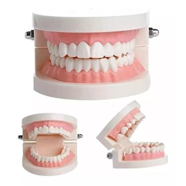 Imagem de Manequim Molde Dentario Articulado Universal Dentística