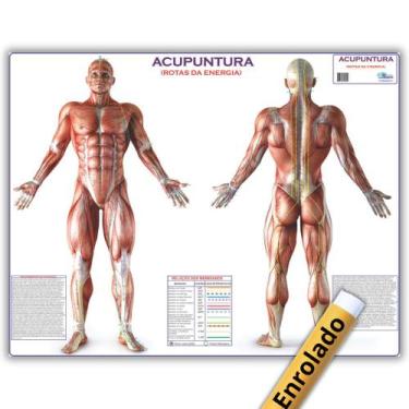 Imagem de Mapa Gigante: Acupuntura Rotas Da Energia - Anatomia Enfermagem E Fisi