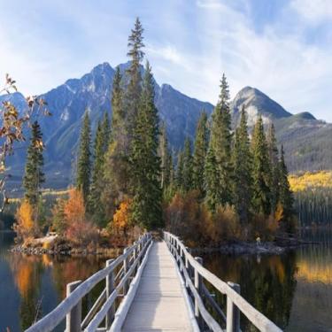 Imagem de Quadro Decorativo de Madeira com Estampa de Ponte sobre o Lago - Arte para Decoração de Casa e Escritório Tamanho 30x30cm