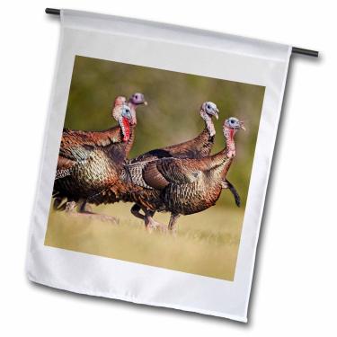 Imagem de 3dRose fl_260141_2 "Wild Turkey, Meleagris gallopavo, bandeira masculina de jardim, 45,7 cm x 68,6 cm
