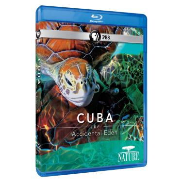 Imagem de Cuba: The Accidental Eden [Blu-ray]