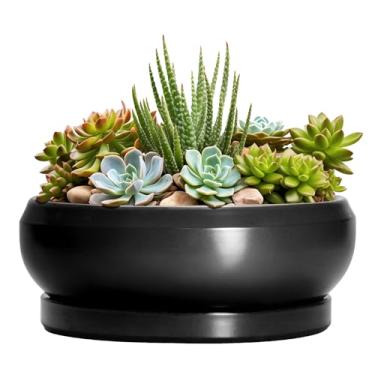 Imagem de EPFamily Vasos de bonsai de cerâmica, vaso de 20 cm com orifícios de drenagem e pires, preto fosco