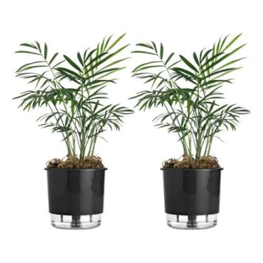 Imagem de 2 Vaso Autoirrigável Terrazzo 02 Reservatório Horta Flor Raiz, Preto