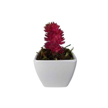 Imagem de Suculenta Artificial Mini Vaso de Plástico Branco - Melhores Ofertas, 