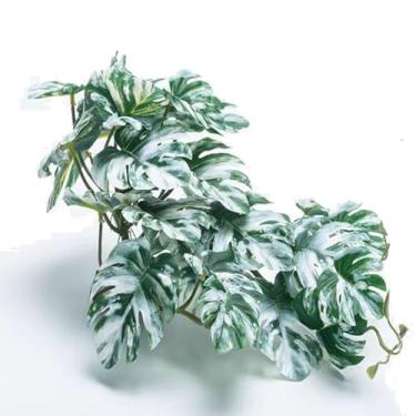 Imagem de FLmoving Plantas falsas de répteis para terrário acessórios de decoração de tanques artificiais adequados para dragões barbudos Python Crested Leopard Gecko Lagarto Camaleão Cobra Monstera