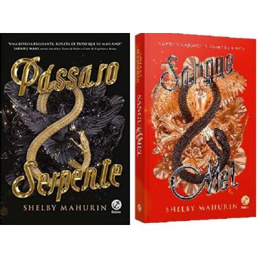Imagem de Kit 2 Livros Shelby Mahurin Pássaro E Serpente +Sangue E Mel - Galera