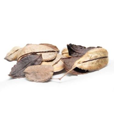 Imagem de Sementes Cascas Diversas para Decoração Flores Seca Variadas - Pense F