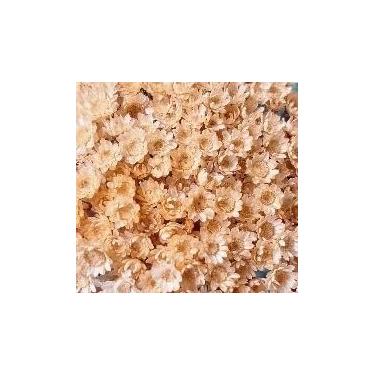 Imagem de Flor Sempre Viva Branca I Kit com ate 1.200 Flores Secas, Buquês, Decoração de Casamento e Eventos - Beleza Natural Eterna(Bege/palha,2buquês)