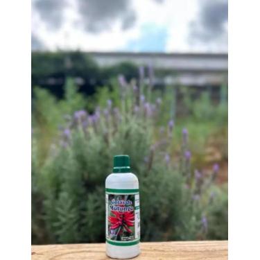 Imagem de Composto em Gotas de Mulungu100 ml - NaVida Naturais