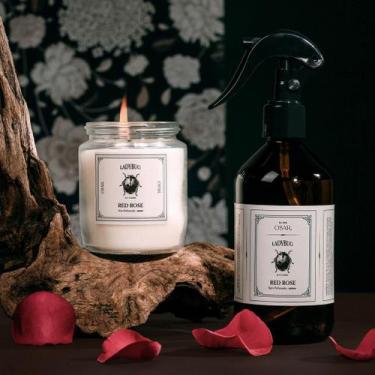 Imagem de DUO Ladybug - Red Rose - OSAR