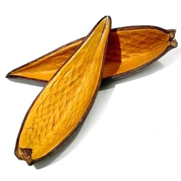 Imagem de Canoinha  Bractéa  Flor de Madeira Natural para Aquários e Terrários -
