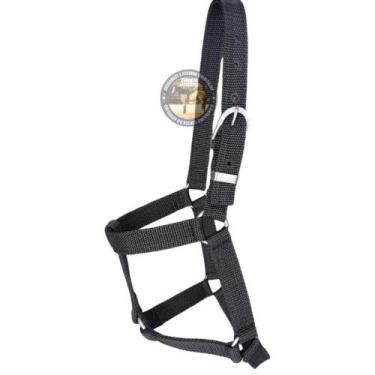 Imagem de Cabresto de pónei Para Cavalo Quarto De Milha passeio - selaria shoppi